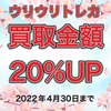 買取金額UPキャンペーン