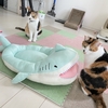サメさんの冷感ベッド(๑•̀ㅂ•́)و✧～我が家の猫ベッドヒストリー～