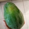 【おうちでタイ料理】青パパイヤといえば、ソムタムだけど、、（パパイン酵素でつるつる？）