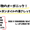 アルガンオイルはすごい！白髪予防にシミ予防！全身使えるオイル