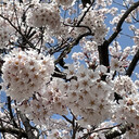 Hiro_MatsunoのNFTフォトブログ