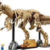【レゴで恐竜を組み立てる！】ティラノサウルス・レックスの化石モデルが最高すぎた件