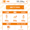 ダイエット記録（63日目）スチームアイロンを使ってみました