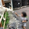 【幼稚部】動物園遠足へ出かけました！