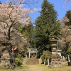 近津神社の桜・・