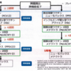 脾臓摘出/脾機能低下時の推奨ワクチン接種