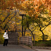  秋日 An autumn day at Tamagawadai Park