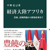 平野克己『経済大陸アフリカ』(中公新書, 2013年)