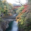 橋ひとつ深紅のいろにそめ上げてライトアップに勤しむひとよ