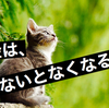 お金は使わないとなくなっちゃう？大丈夫、お金は勝手になくらない