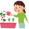植物がすぐに枯れてしまう、そんなあなたに。
