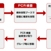 帰国の流れ～入国～