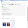 Vagrant+VirtualBox環境の構築7（IPython Notebook＋CentOS）