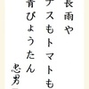 長雨や ナスもトマトも 青びょうたん