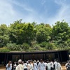 グリーンに癒される〜仮神殿〜
