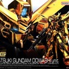 【抽選販売】 RG アカツキガンダム(オオワシ装備) (RG) (ガンプラ)