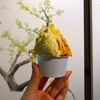 【瀬戸内国際芸術祭2019】小豆島にあるMINORI GELATOのジェラートがおいしくてインスタ映え間違いなし！