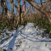 ◆'21/12/03　鳳来山へ②…南高ヒュッテ～鳳来山山頂