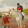 アラブ競馬が消えてゆく