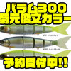 【MADNESS×EVERGREEN】人気ジャイアントベイトのメーカーコラボカラー「バラム300 菊元俊文カラー」次回出荷分予約受付中！