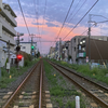 鵜の木に告げられた夏の終わり？秋らしい夕焼け雲