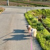 時にはまったりしながら