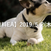 【海外無料EA】2019/5/2(木)の成績