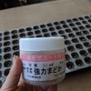 キャベツの種まき　8/12