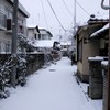 にっき：雪つもる、提出、鳥貴族