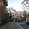 桜の匂い