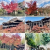 3泊4日秋の京都旅行〜はじめて京都★定番観光名所めぐり〜