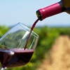 The Ultimate Reason to Buy Wine tours in Willamette Valley Online 