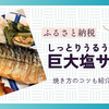 【ふるさと納税】脂乗りが良すぎる巨大塩サバが19枚！