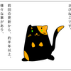 お久しぶりです