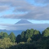 今朝の景色