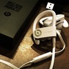 beats Powerbeats3 Wireless 