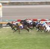 有馬記念　ゴールドアクターが勝利　ゴールドシップの走りに感動！！