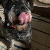 ふくすけ　特集やっちゃうよ