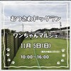 
11月5日(日)10:00～ イベント出店決定
むつさわドッグラン  ワンちゃんマルシェ