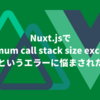 Nuxt.jsでMaximum call stack size exceededというエラーに悩まされた