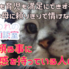 【人生相談】体と精神が弱くて家事も育児も満足にできず毎日旦那や母に頼りきりです。私みたいな専業主婦はどのように見えますか？