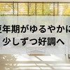 冷えた体と心に、ようやく朝がきた──更年期の“ゆるやかな回復”について