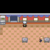 【ポケモンEm】絵画BVSeed保存自動化