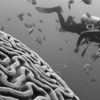 【頭の良さの種類】脳トレの効果でワーキングメモリを上げる