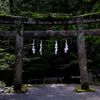 ため息が出るほど美しい･･･絶景茨城！週末ジンジャー【花園神社】＠茨城2024