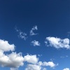 馬場レッスン まろ君と 基本姿勢が分かってきたの巻