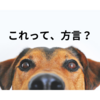 これって方言？言われるまで標準語だと思ってた！！