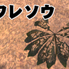 #Kenshi　s6_02：「植物学冒険記」 オクランプライド編(２)