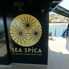 SEA SPICA（シースピカ）瀬戸内しまたびライン乗船記④～大久野島・三原