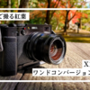 【カメラ】X100V用ワイドコンバージョンレンズで紅葉撮影｜兵庫 篠山